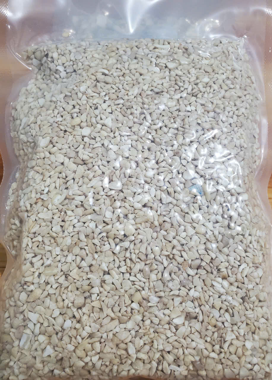 RAW CASHEW - BABY BLIST (BB) - 500G (PRODUCT FROM VIETNAM)