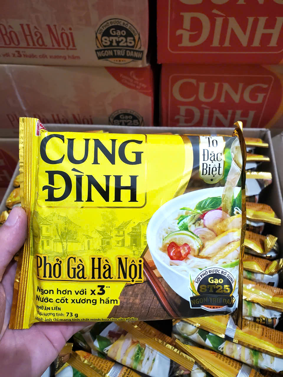 VIETNAMESE INSTANT NOODLES - PHO GA 73G/PACK (CHICKEN FLAVOR)