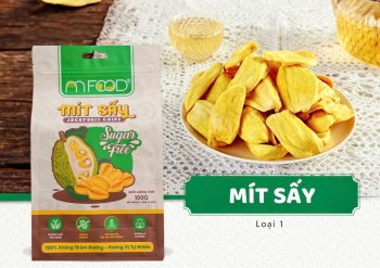 JACKFRUIT CHIPS - PRODUCT FROM VIETNAM